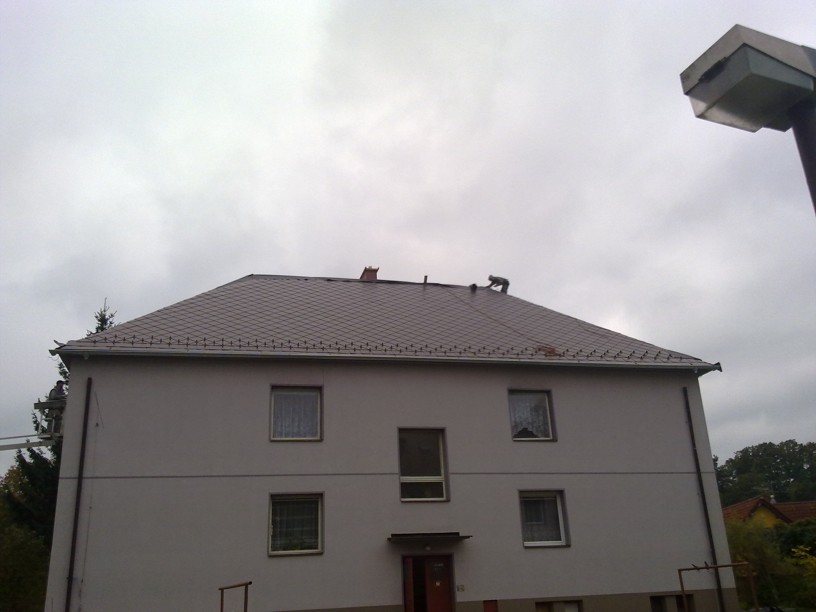sosnova uvod
